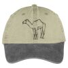 Two Tone Pigment Dyed Cap Thumbnail