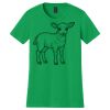 Women's Softstyle Tee Thumbnail