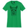 Women's Softstyle Tee Thumbnail